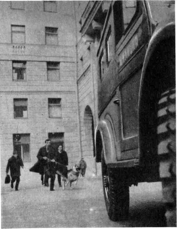 Знакомьтесь: МУР - img_44.jpeg