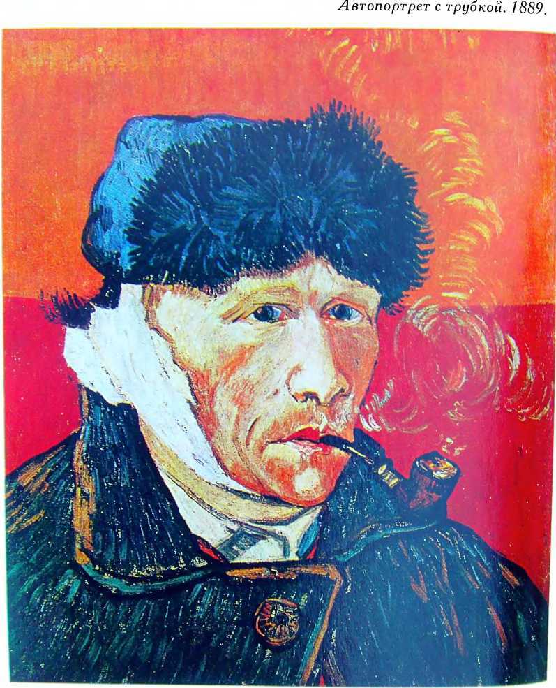 Винсент ван Гог. Очерк жизни и творчества - i_084.jpg