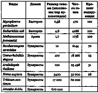 Эволюция Вселенной и происхождение жизни - img8E31.png