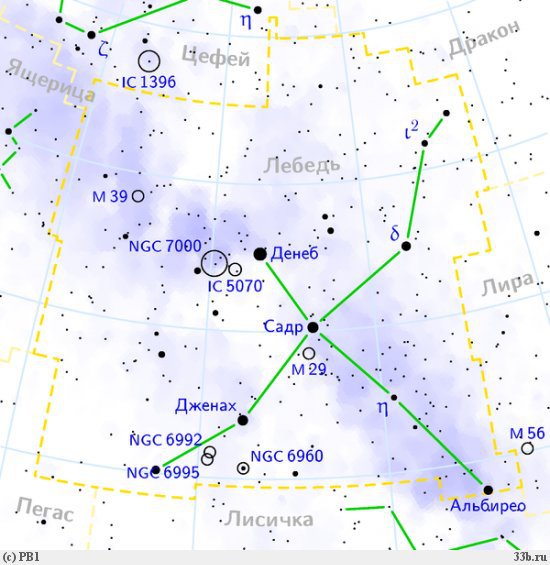 Сокровища звездного неба - lebed1.jpg