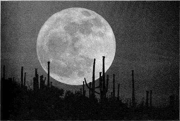 Путешествия к Луне - image3.jpg
