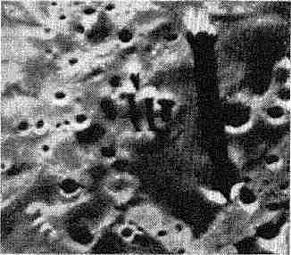 Путешествия к Луне - image144.jpg