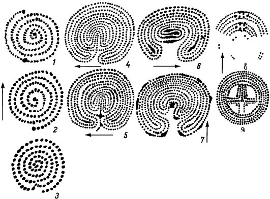 От царской Скифии к Святой Руси - i004.jpg