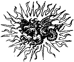 Новеллы - i_007.png