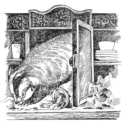 История барсучихи - i_019.jpg