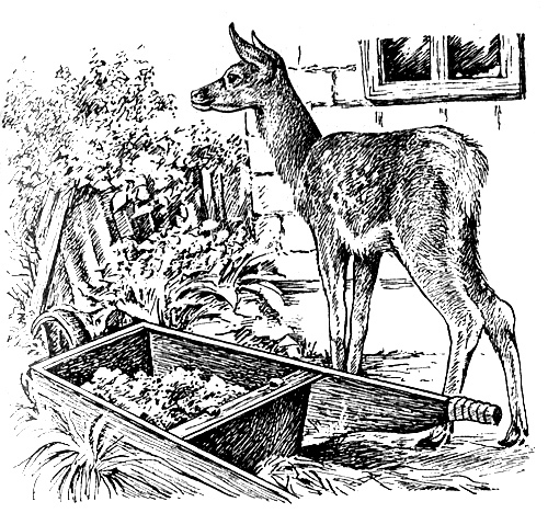 Мой тайный мир - i_013.jpg