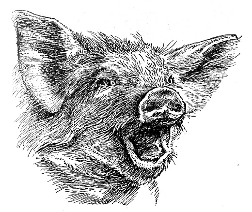 Мой тайный мир - i_015.jpg