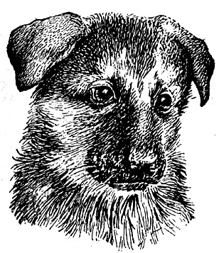 Мой тайный мир - i_016.jpg