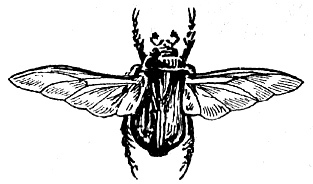 Мой тайный мир - i_026.jpg