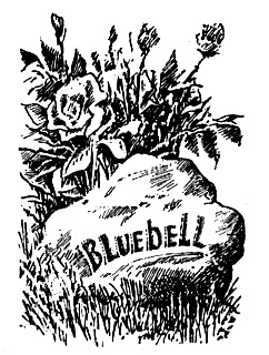 Мой тайный мир - i_034.jpg