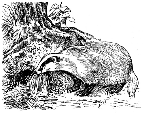 Мой тайный мир - i_035.jpg