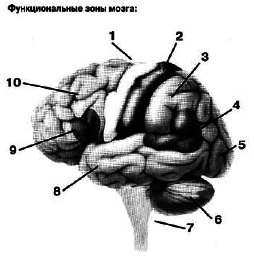 Верный способ избавиться от пьянства, курения, наркотиков - _12.jpg