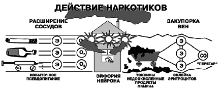 Верный способ избавиться от пьянства, курения, наркотиков - _14.jpg