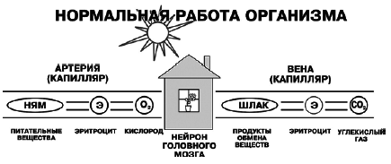 Верный способ избавиться от пьянства, курения, наркотиков - _13.jpg