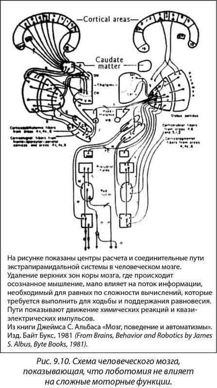 Древняя Тайна Цветка Жизни. Том 2 - i_012.jpg