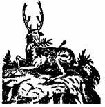 Бич и молот. Охота на ведьм в XVI-XVIII веках (с иллюстрациями) - pic_74.jpg