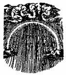 Бич и молот. Охота на ведьм в XVI-XVIII веках (с иллюстрациями) - pic_122.jpg