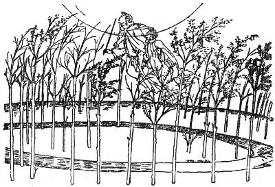 Данте - i_011.jpg