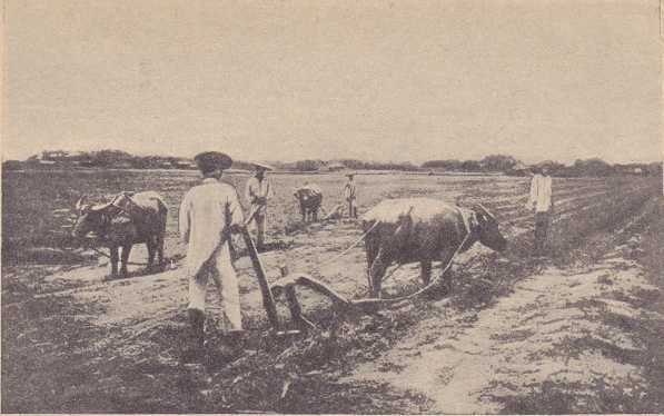 Хосе Ризаль - i_004.jpg