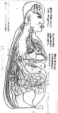 История медицины - i_003.jpg