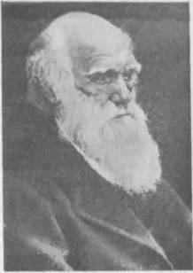 История медицины - i_029.jpg