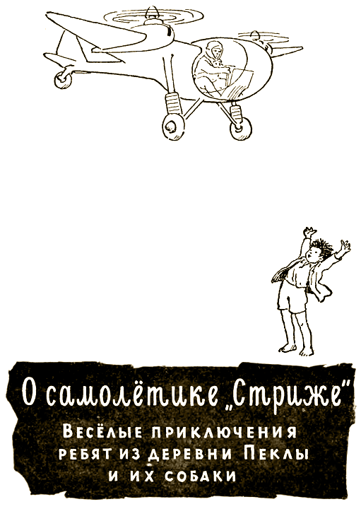 Поездка Гонзика в деревню. О самолетике «Стриже» - i_022.png