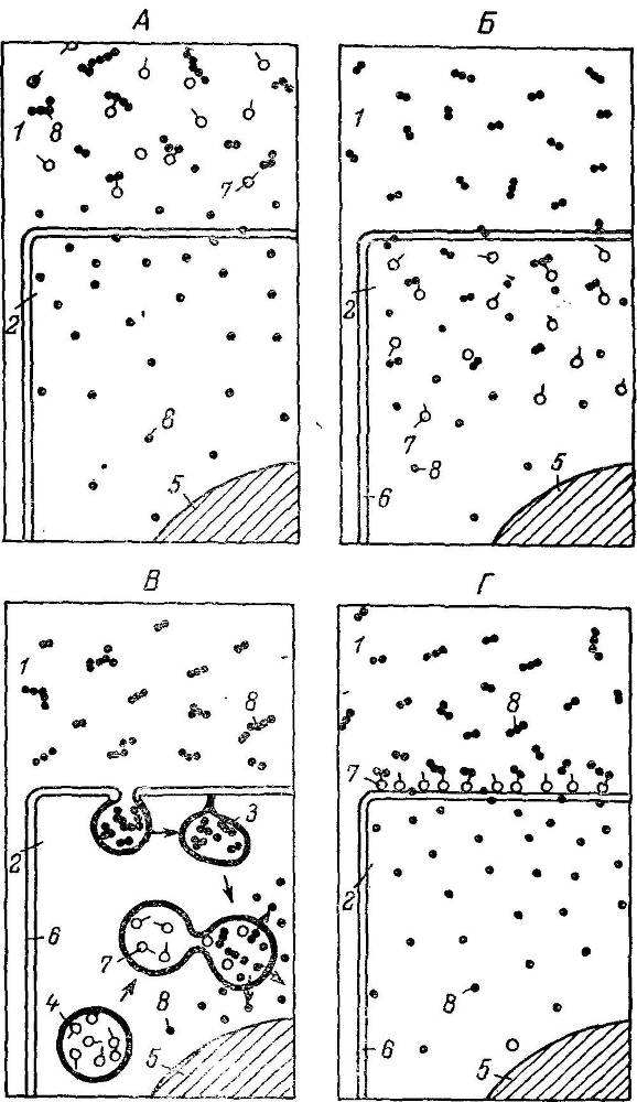 Естественные технологии биологических систем - _3.jpg