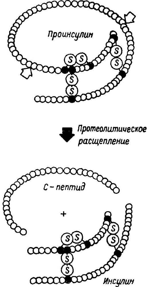 Естественные технологии биологических систем - _46.jpg