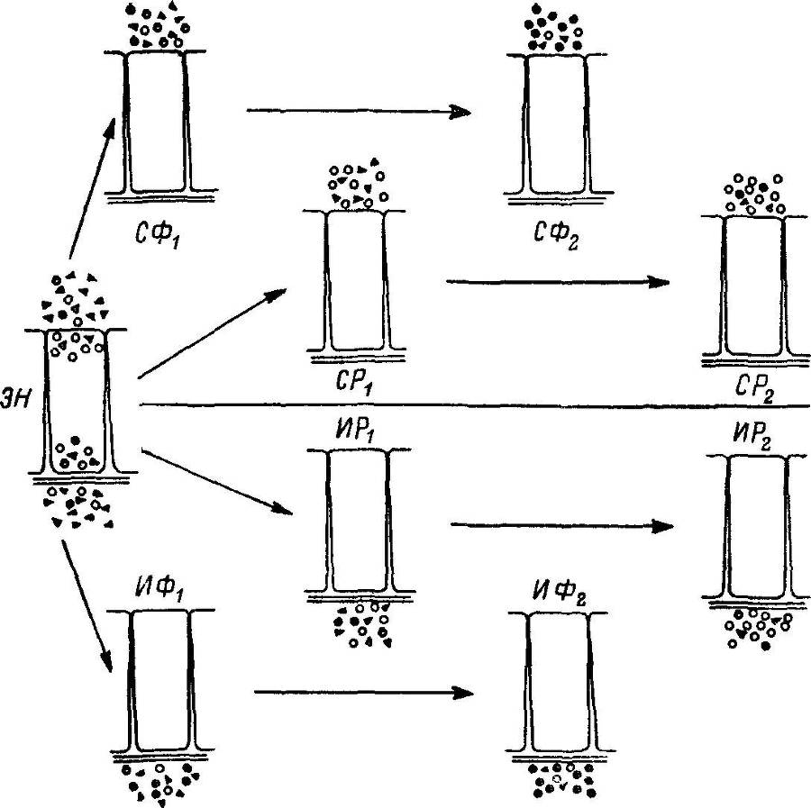 Естественные технологии биологических систем - _30.jpg
