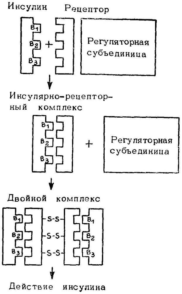 Естественные технологии биологических систем - _40.jpg