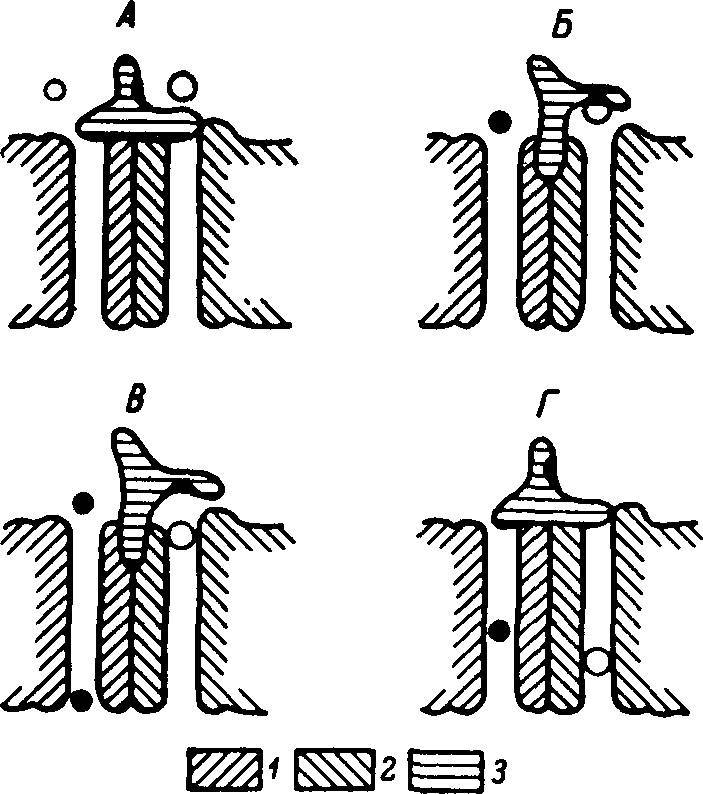Естественные технологии биологических систем - _33.jpg