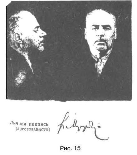 Трагедия 22 июня: блицкриг или измена? - img_70.jpg