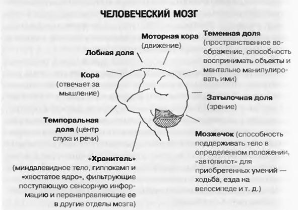 Ответ: Как преуспеть в бизнесе, обрести финансовую свободу и жить счастливо - _1.jpg