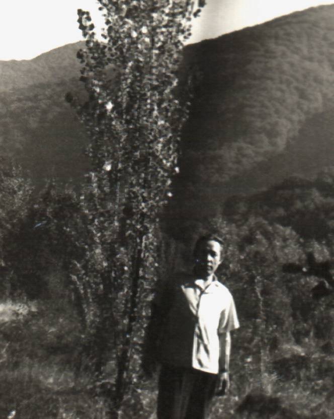 Рафалиада (СИ) - _5.jpg