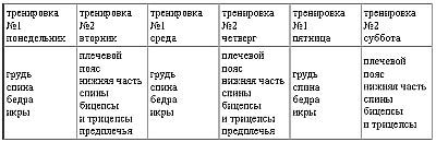 Новая энциклопедия бодибилдинга. Кн.2. Программы тренировок - _34.jpg