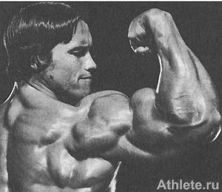 Новая энциклопедия бодибилдинга. Кн.3. Упражнения - _01.jpg_0