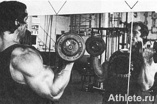 Новая энциклопедия бодибилдинга. Кн.3. Упражнения - _28.jpg_0