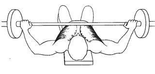 Новая энциклопедия бодибилдинга. Кн.3. Упражнения - _87.jpg_0