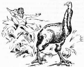 Гипотезы и заблуждения, о которых должен знать современный человек - i_011.jpg