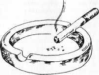 Гипотезы и заблуждения, о которых должен знать современный человек - i_059.jpg