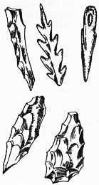 Гипотезы и заблуждения, о которых должен знать современный человек - i_073.jpg