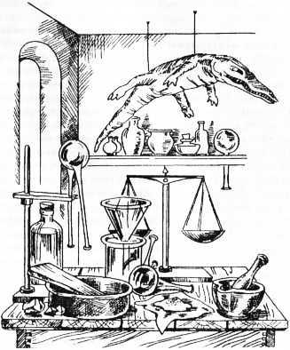 Гипотезы и заблуждения, о которых должен знать современный человек - i_106.jpg