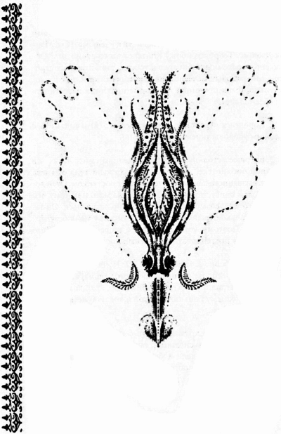 Город святых и безумцев - i_014.png