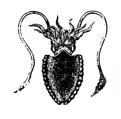 Город святых и безумцев - i_017.png