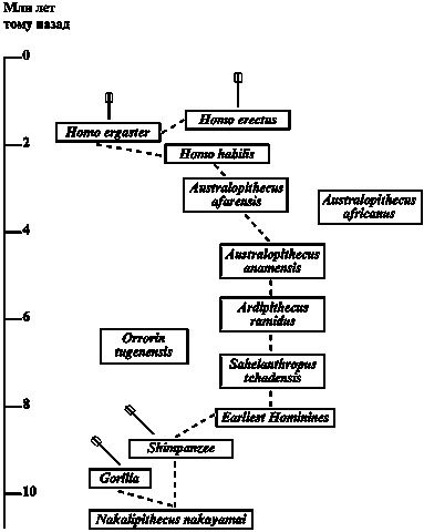 Распространенность жизни и уникальность разума? - imgAA1A.png
