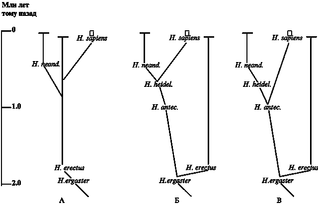 Распространенность жизни и уникальность разума? - imgC3F1.png