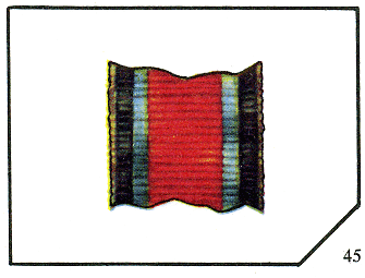 Наградная медаль. В 2-х томах. Том 2 (1917-1988) - Lenty45.png