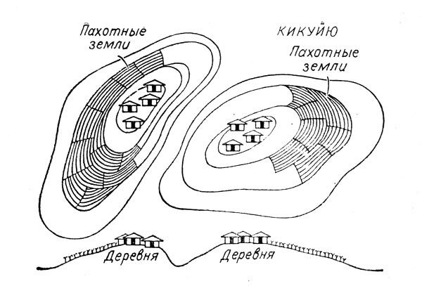 Человек в Африке - i_012.jpg