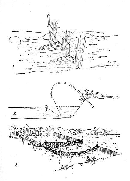 Человек в Африке - i_016.jpg