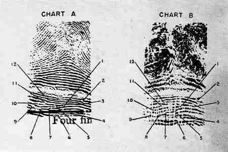 Сто лет криминалистики - i_023.jpg